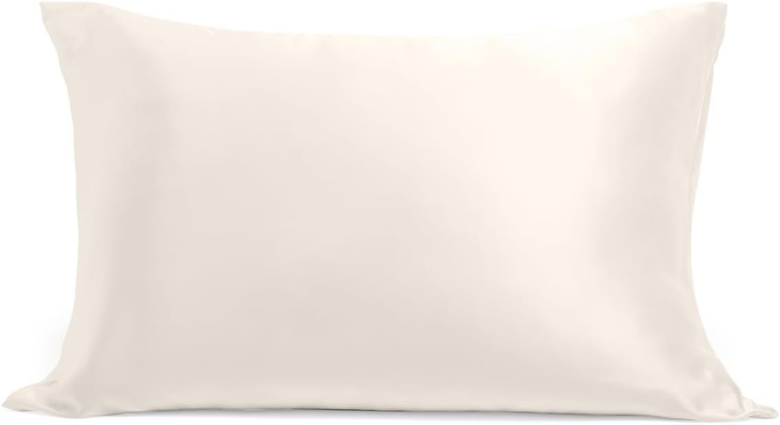 Cosy House Collection 100% Pure Silk Pillowcase