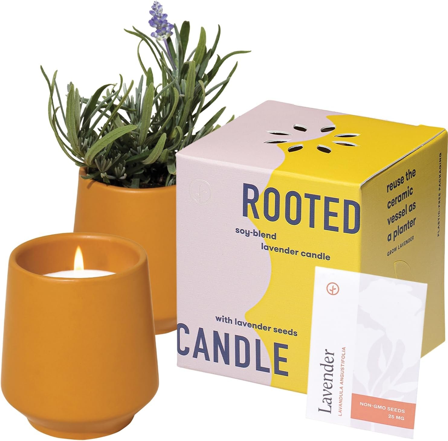 Modern Sprout Soy Candle Planter – Grows Lavender – Cedarwood Scent – 6 oz