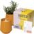 Modern Sprout Soy Candle Planter – Grows Lavender – Cedarwood Scent – 6 oz
