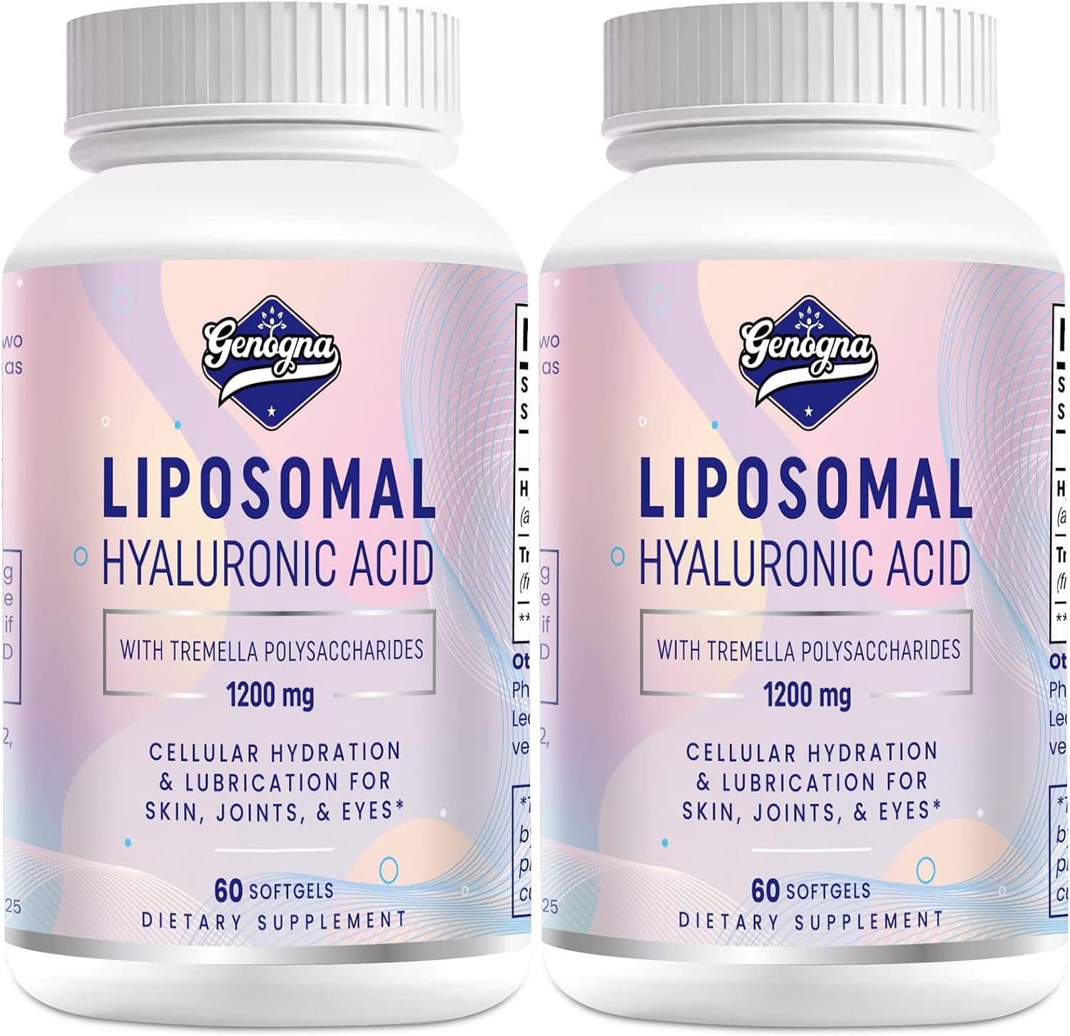 Liposomal Hyaluronic Acid Supplement 1000mg for Skin and Hair,2Pack